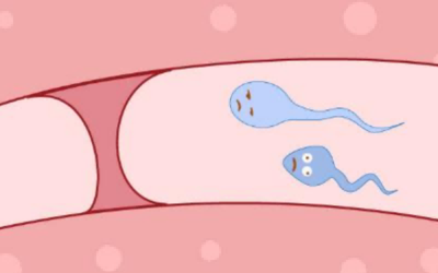 广州做试管胚胎着床率高有哪些方法？找医网说出实情