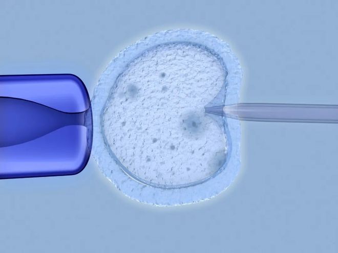 冻胎会影响试管胚胎的质量吗？主要看四点！