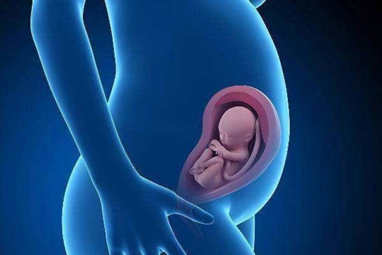 备孕时要怎么做精子检查？找医网提前说