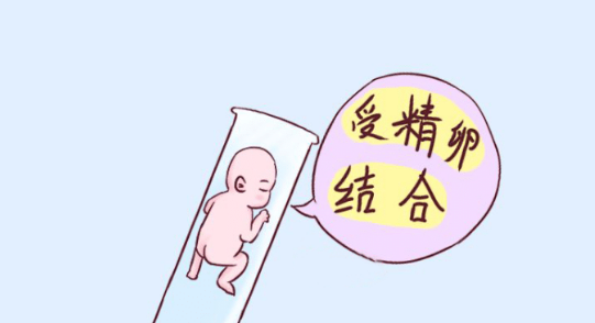 深圳三代试管婴儿要如何备孕？做好这几点就行