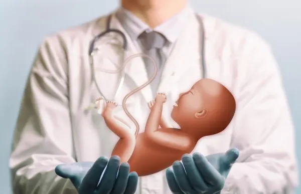 汾阳做三代试管婴儿放几个胚胎成功率高？多胎移植就一定成功吗
